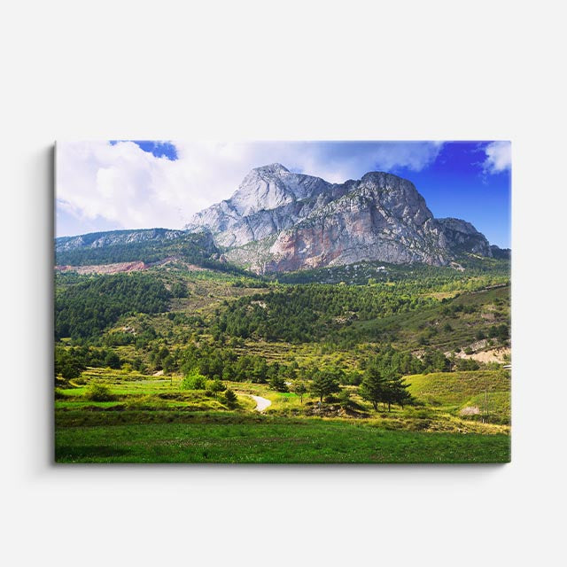cuadro canvas bosques y naturaleza montaña gris cielo azul limpio horizontal
