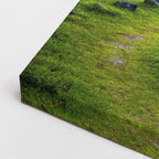 cuadro canvas bosques y naturaleza colina verde círculo piedras horizontal