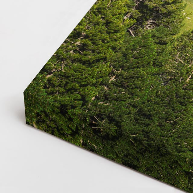 cuadro canvas bosques y naturaleza montañas rocosas valle verde horizontal
