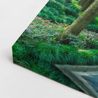 cuadro canvas bosques y naturaleza túnel de árboles carretera verde horizontal