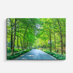 cuadro canvas bosques y naturaleza túnel de árboles carretera verde horizontal