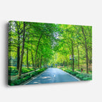 cuadro canvas bosques y naturaleza túnel de árboles carretera verde horizontal