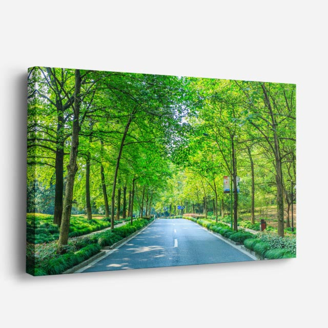 cuadro canvas bosques y naturaleza túnel de árboles carretera verde horizontal