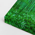 cuadro canvas bosques y naturaleza bosque de bambú verde intenso horizontal