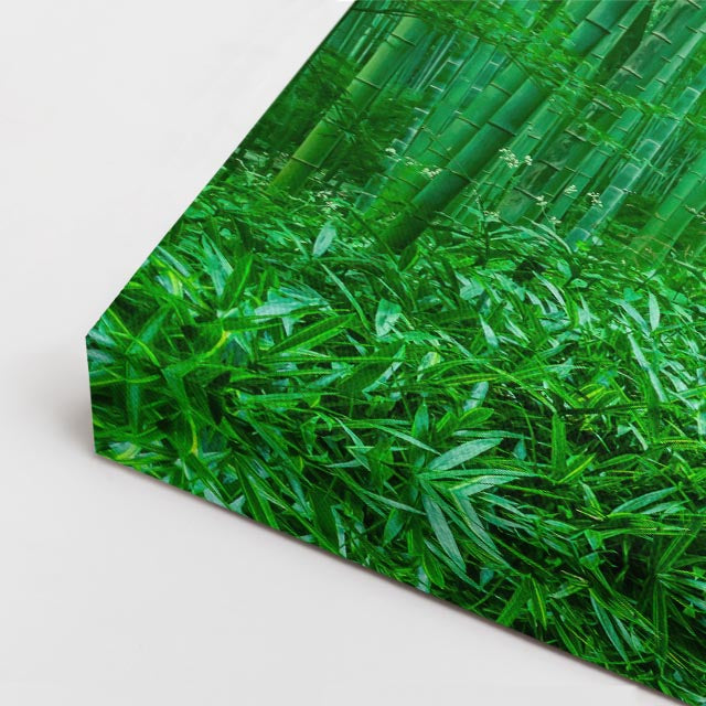 cuadro canvas bosques y naturaleza bosque de bambú verde intenso horizontal
