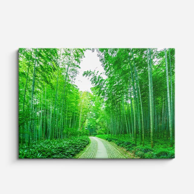 cuadro canvas bosques y naturaleza bosque de bambú verde intenso horizontal