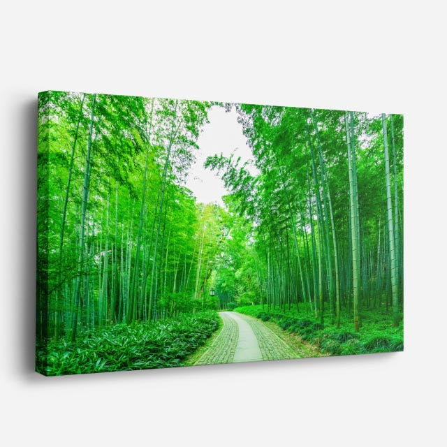 cuadro canvas bosques y naturaleza bosque de bambú verde intenso horizontal
