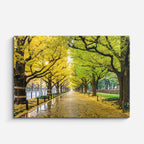 cuadro canvas bosques y naturaleza avenida otoñal árboles dorados horizontal