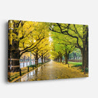 cuadro canvas bosques y naturaleza avenida otoñal árboles dorados horizontal