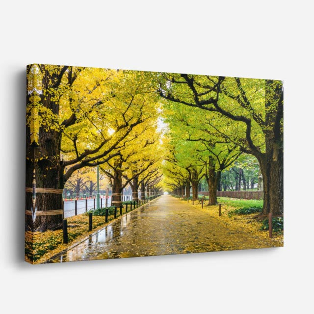 cuadro canvas bosques y naturaleza avenida otoñal árboles dorados horizontal