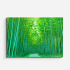 cuadro canvas bosques y naturaleza bosque de bambú verde luminoso horizontal