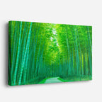 cuadro canvas bosques y naturaleza bosque de bambú verde luminoso horizontal
