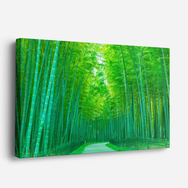 cuadro canvas bosques y naturaleza bosque de bambú verde luminoso horizontal