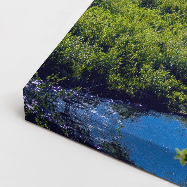 cuadro canvas bosques y naturaleza río serpentea valle verde horizontal