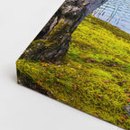cuadro canvas bosques y naturaleza lago azul árbol orilla horizontal