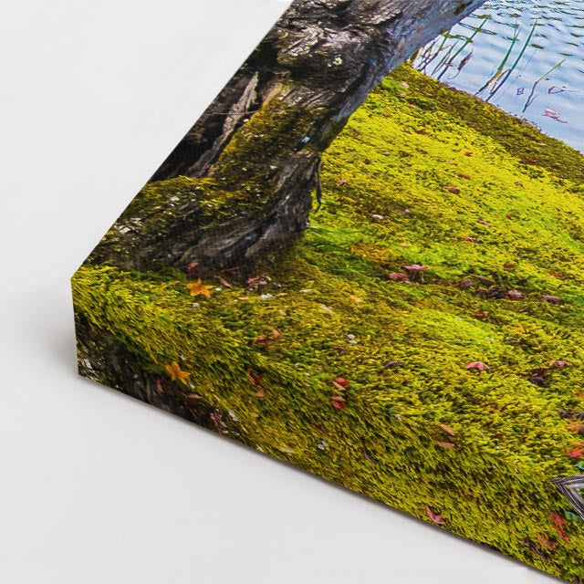 cuadro canvas bosques y naturaleza lago azul árbol orilla horizontal