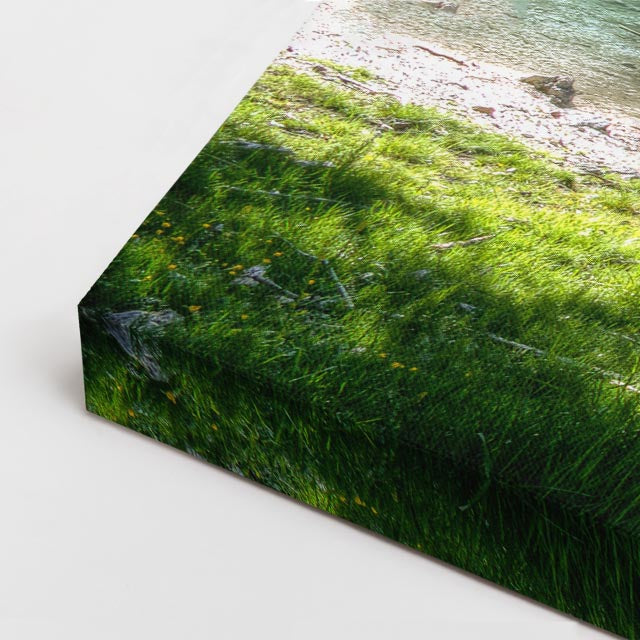 cuadro canvas bosques y naturaleza pradera verde cerca de madera horizontal