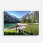 cuadro canvas bosques y naturaleza pradera verde cerca de madera horizontal