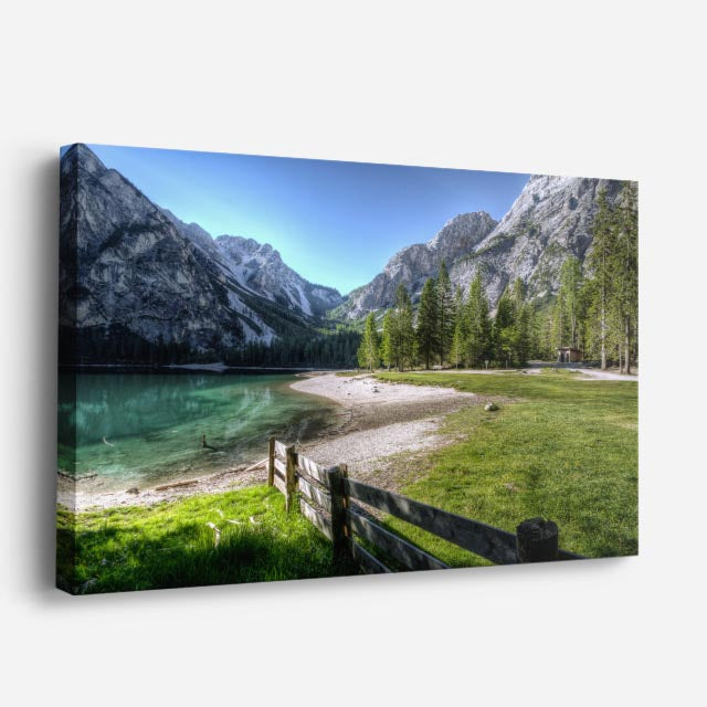 cuadro canvas bosques y naturaleza pradera verde cerca de madera horizontal