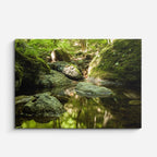 cuadro canvas bosques y naturaleza arroyo cristalino rocas musgo horizontal