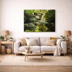 cuadro canvas bosques y naturaleza arroyo cristalino rocas musgo horizontal
