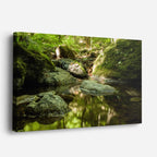cuadro canvas bosques y naturaleza arroyo cristalino rocas musgo horizontal