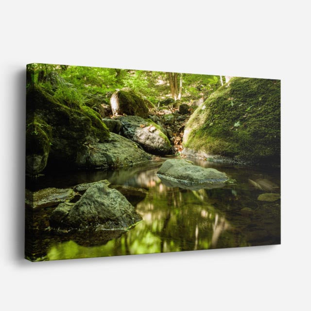 cuadro canvas bosques y naturaleza arroyo cristalino rocas musgo horizontal