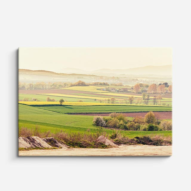 cuadro canvas bosques y naturaleza llanura árida luz suave horizontal