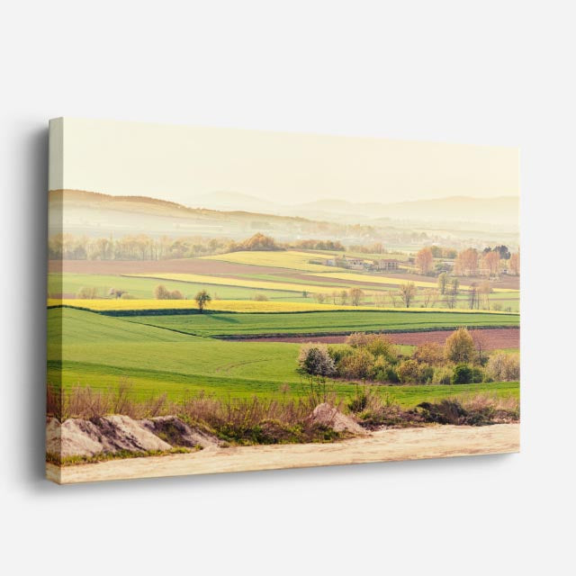 cuadro canvas bosques y naturaleza llanura árida luz suave horizontal