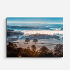 cuadro canvas bosques y naturaleza árboles niebla mañana otoñal horizontal