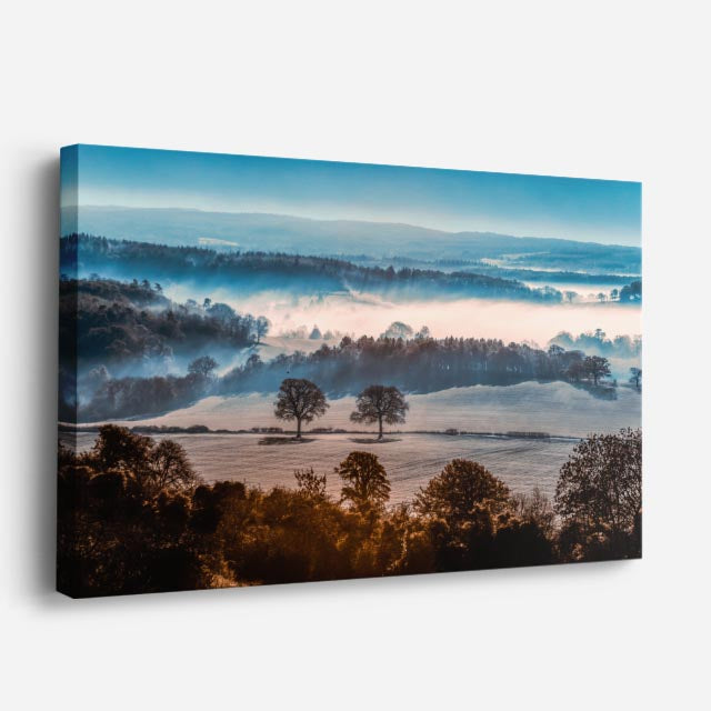 cuadro canvas bosques y naturaleza árboles niebla mañana otoñal horizontal