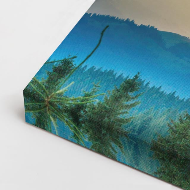 cuadro canvas bosques y naturaleza bosque luz dorada mañana horizontal