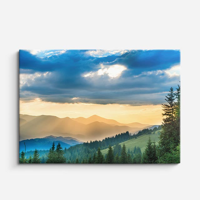 cuadro canvas bosques y naturaleza bosque luz dorada mañana horizontal