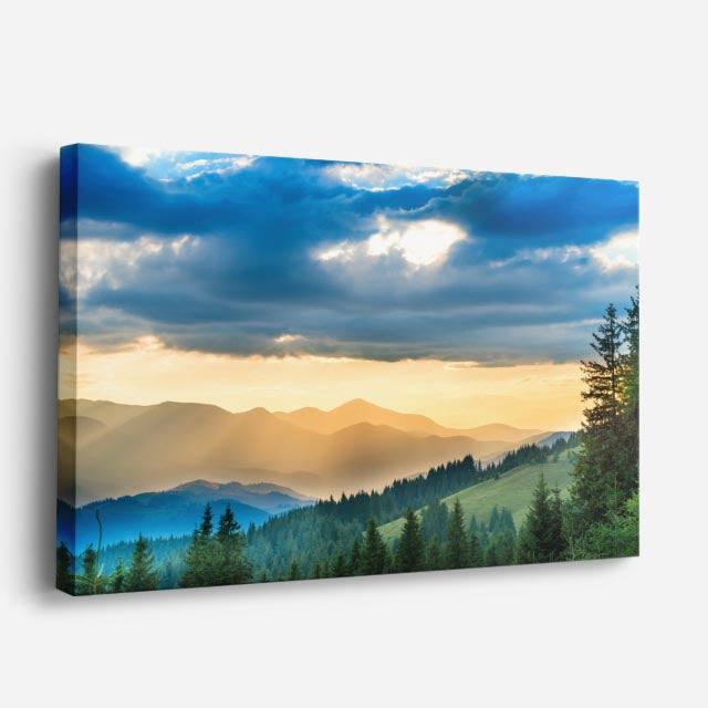 cuadro canvas bosques y naturaleza bosque luz dorada mañana horizontal