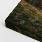 cuadro canvas bosques y naturaleza árbol otoñal rojo dramático horizontal