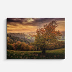 cuadro canvas bosques y naturaleza árbol otoñal rojo dramático horizontal