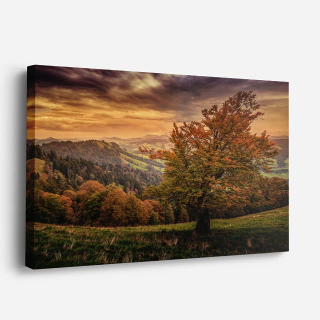 cuadro canvas bosques y naturaleza árbol otoñal rojo dramático horizontal