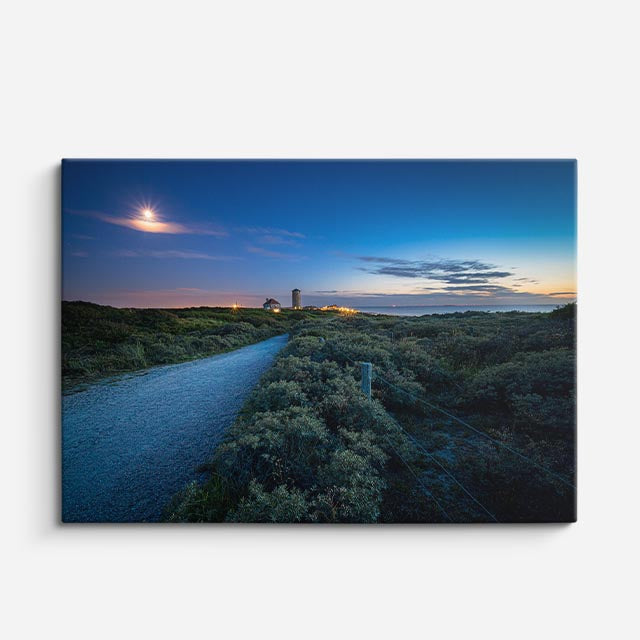 cuadro canvas bosques y naturaleza camino solitario noche azul horizontal