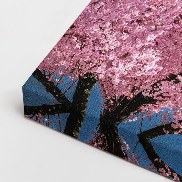 cuadro canvas bosques y naturaleza cerezo rosa monte fuji horizontal