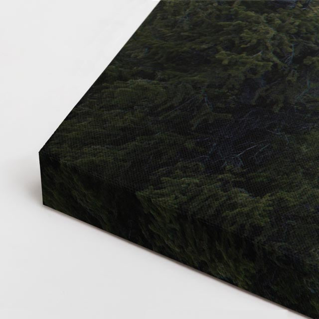 cuadro canvas bosques y naturaleza montañas nevadas bosque oscuro horizontal