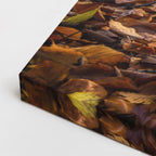 cuadro canvas bosques y naturaleza bosque otoñal hojas en suelo horizontal