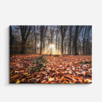 cuadro canvas bosques y naturaleza bosque otoñal hojas en suelo horizontal