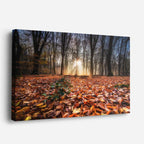 cuadro canvas bosques y naturaleza bosque otoñal hojas en suelo horizontal