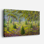 cuadro canvas bosques y naturaleza pintura pradera verde casa rural horizontal