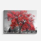 cuadro canvas bosques y naturaleza árbol rojo parque blanco negro horizontal