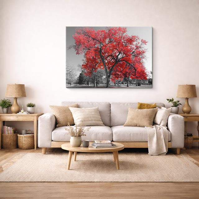 cuadro canvas bosques y naturaleza árbol rojo parque blanco negro horizontal