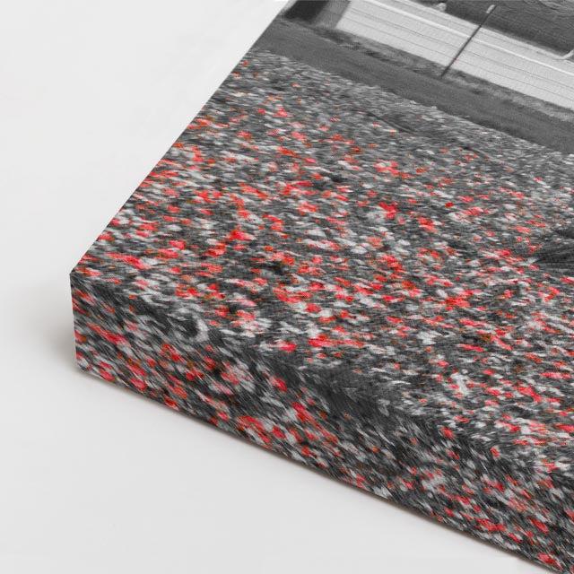cuadro canvas bosques y naturaleza árbol rojo dramático blanco negro horizontal