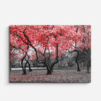 cuadro canvas bosques y naturaleza árbol rojo dramático blanco negro horizontal