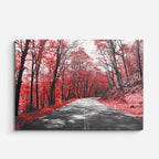 cuadro canvas bosques y naturaleza avenida roja camino blanco negro horizontal