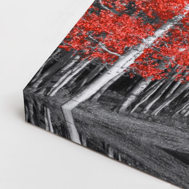 cuadro canvas bosques y naturaleza bosque rojo alineado blanco negro horizontal